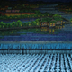Illustration for article titled The Amazing, Colorful Flip Card Propaganda Mosaics of North Korea